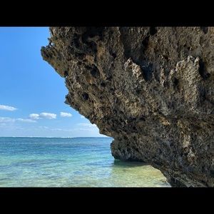 Meet your Posher, Jourdan